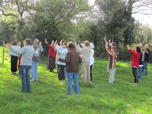 harmonisation des arbres stage yoga méditation keyoha organisation stage cure séminaire